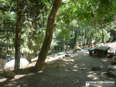 Pinares de Piedralaves; garganta divina club de senderismo en madrid pedriza rutas